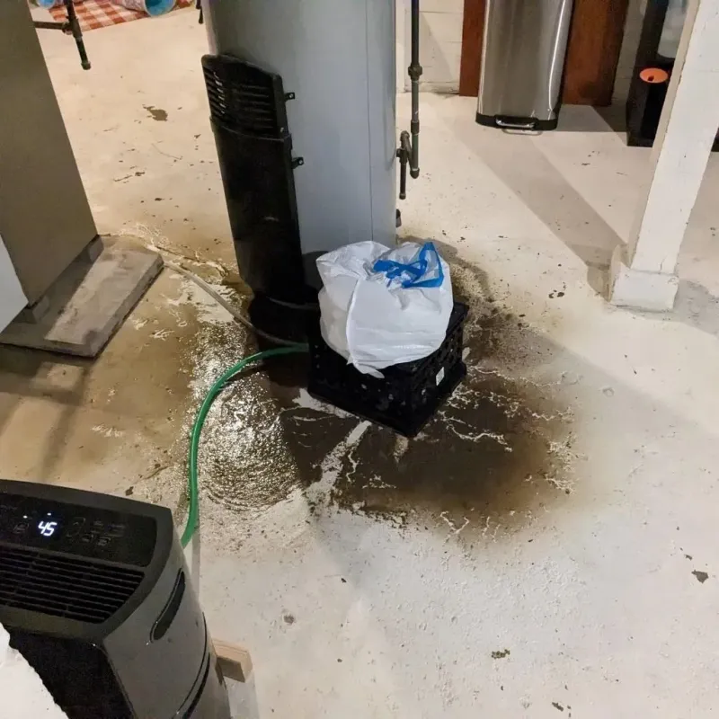 Sewage Backup Cleanup Service in Turners Falls, MA